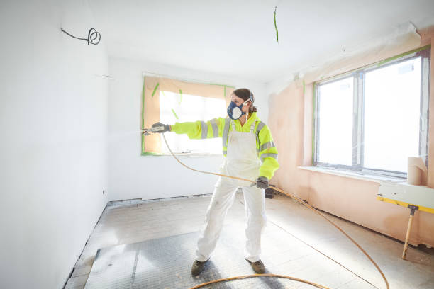 Best Black Mold Removal  in Kimberly, WI