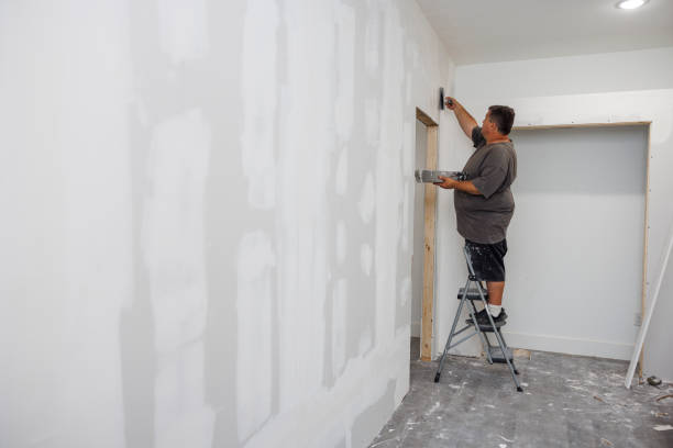 Forensic Mold Investigation in Kimberly, WI