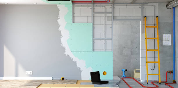 Best Basement Mold Removal  in Kimberly, WI