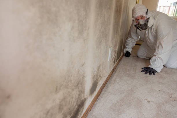 Best Emergency Mold Remediation  in Kimberly, WI