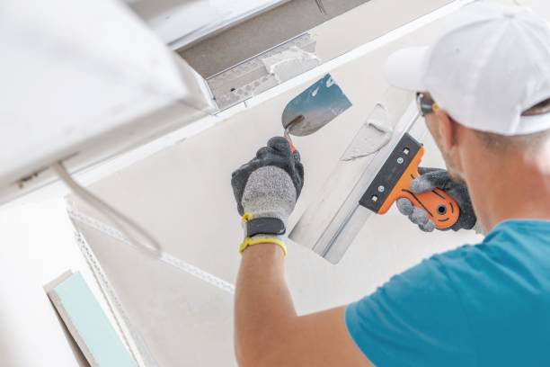 Best Mold Remediation for Healthcare Facilities  in Kimberly, WI